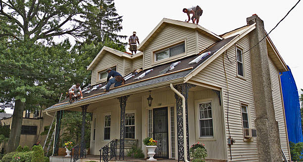 Best Roof Gutter Cleaning  in Three Rivers, MI